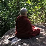 bhikkhuni meditating in seclusion - Copy